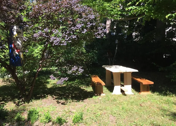 Youth Proteus * Postojna