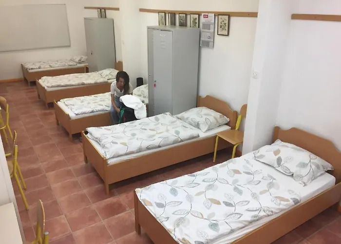 Youth Proteus Albergue Postojna